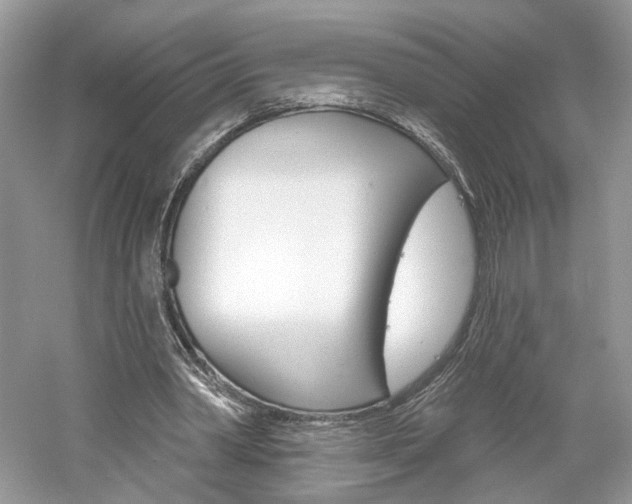 X0000061100390200511180913