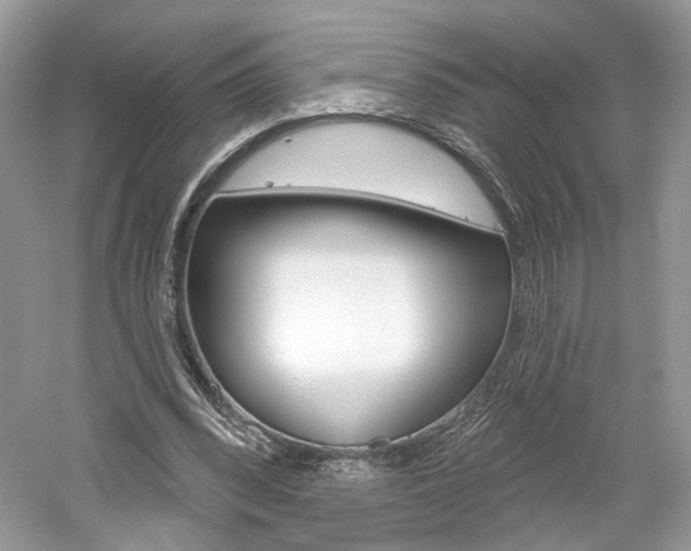 X0000061100392200511180913