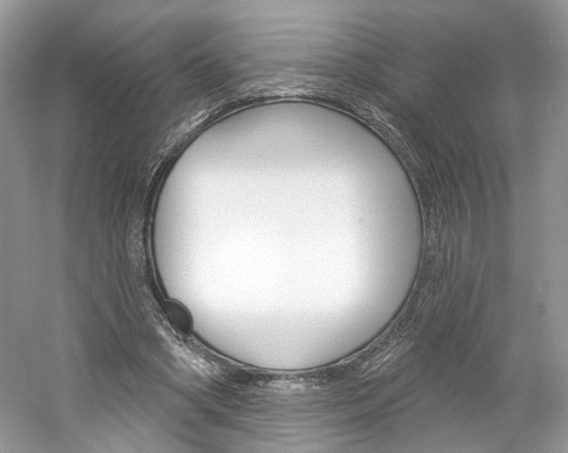 X0000061100394200511180913