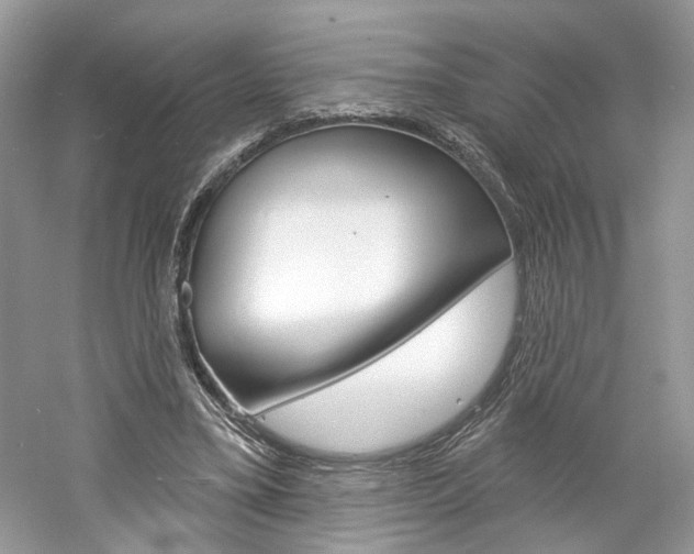 X0000061100395200511180913