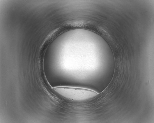 X0000061100400200511180913