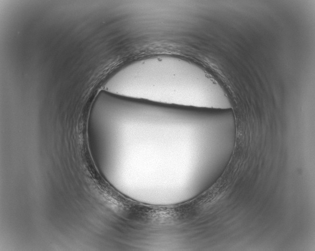 X0000061100402200511180913