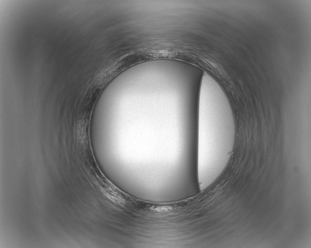 X0000061100409200511180913