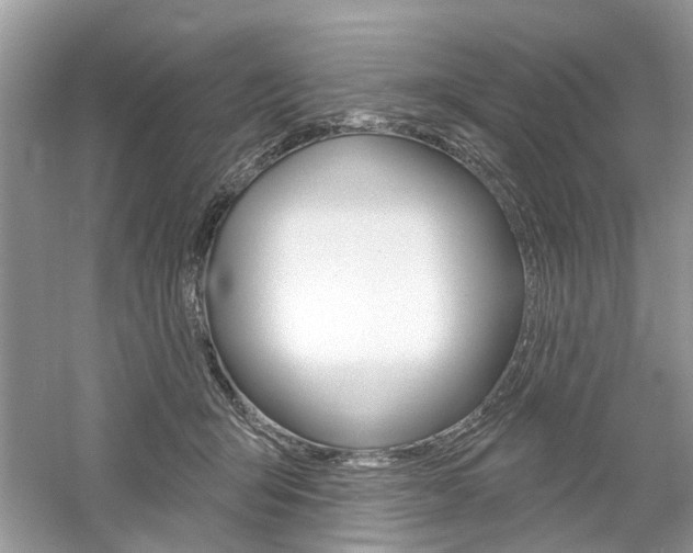 X0000061100415200511180913