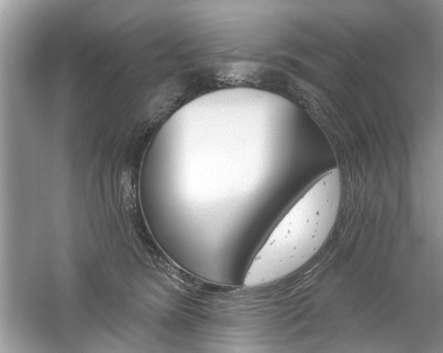 X0000061100420200511180913