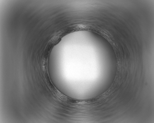X0000061100423200511180913