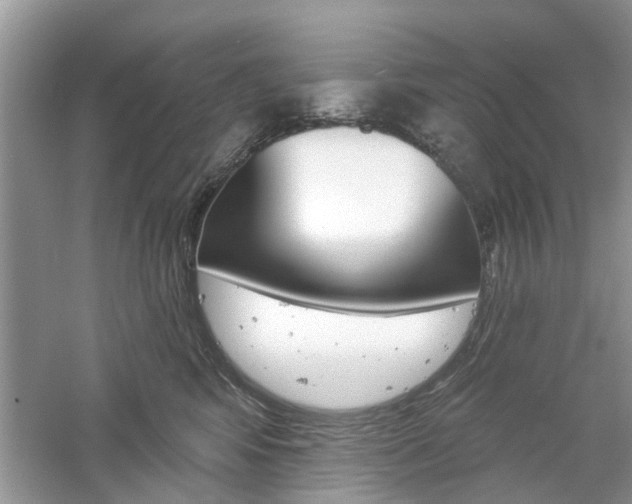 X0000061100424200511180913