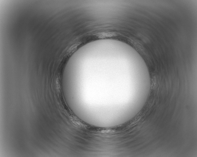 X0000061100426200511180913