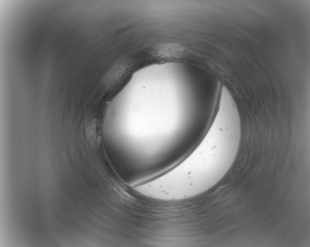 X0000061100428200511180913