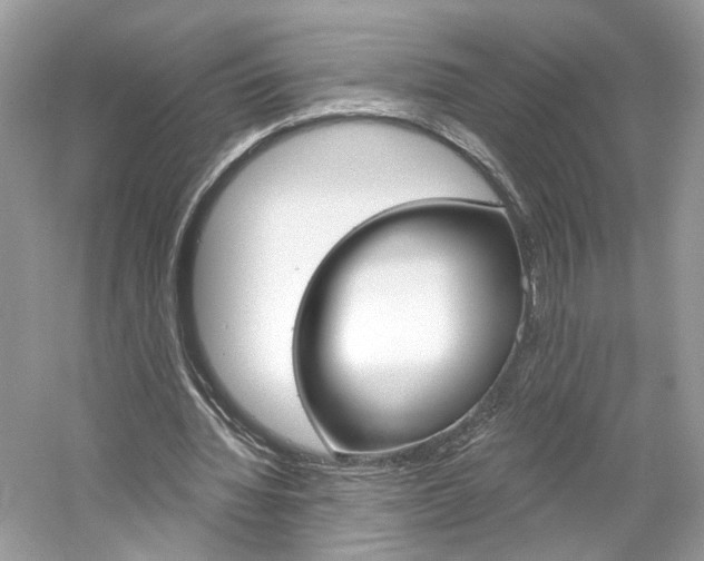 X0000061100436200511180912