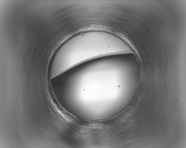 X0000061100437200511180912