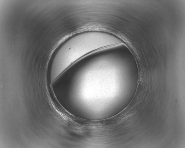 X0000061100438200511180912