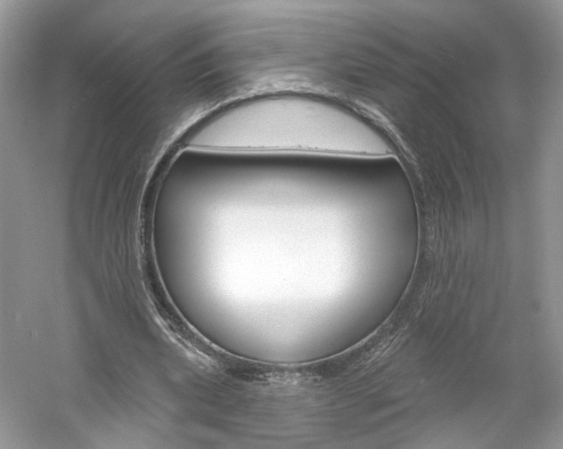 X0000061100439200511180912