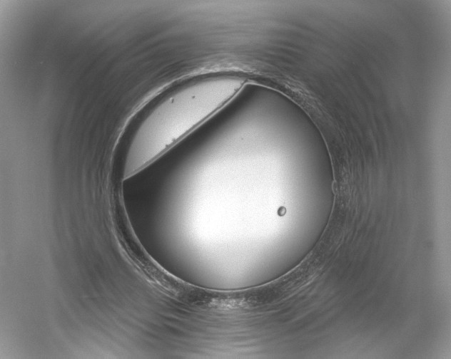 X0000061100440200511180912