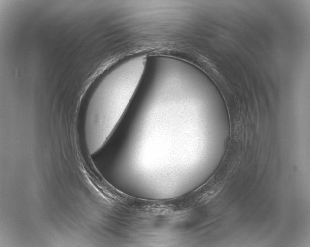 X0000061100443200511180912