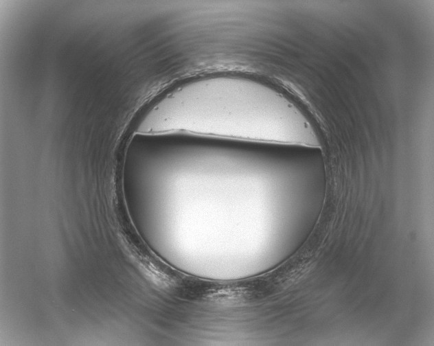 X0000061100447200511180912