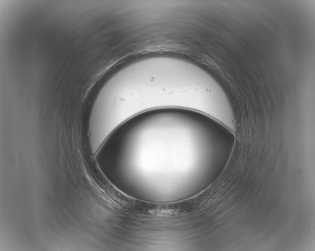 X0000061100448200511180912