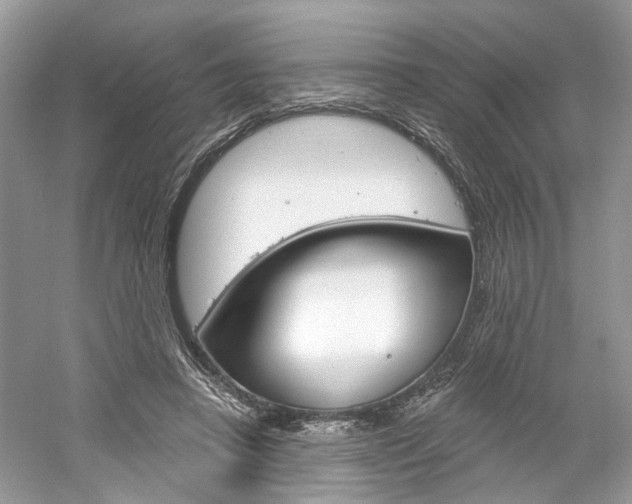 X0000061100450200511180912
