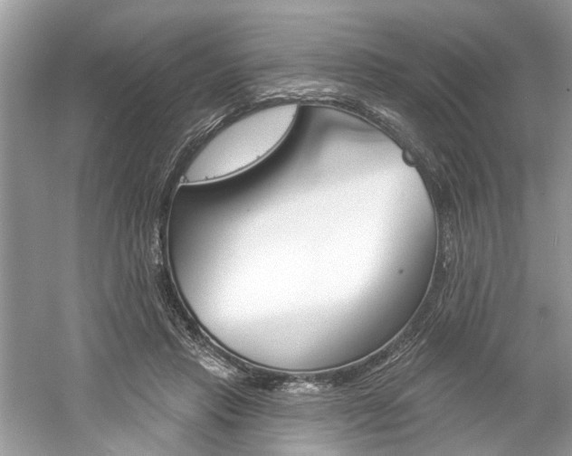 X0000061100453200511180912