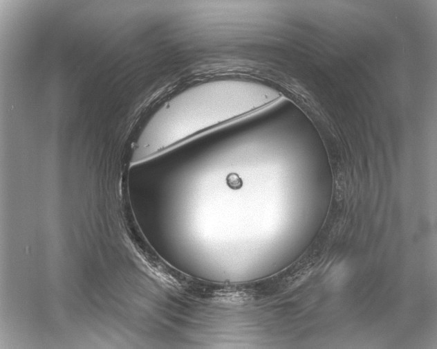 X0000061100454200511180912