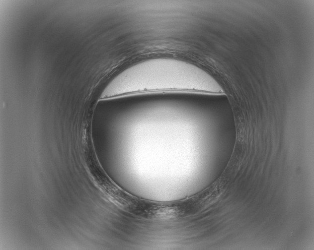 X0000061100456200511180912