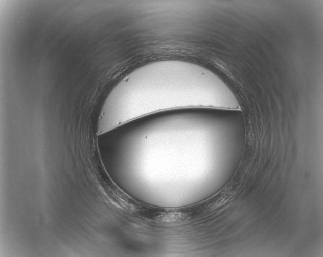 X0000061100459200511180912