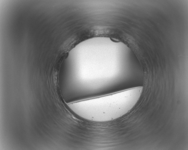 X0000061100475200511180913