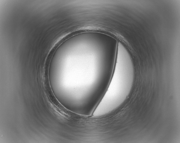 X0000061100484200511180912