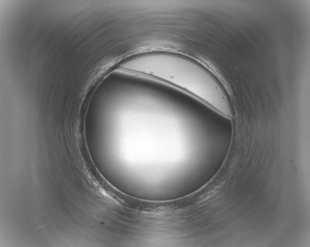 X0000061100485200511180912