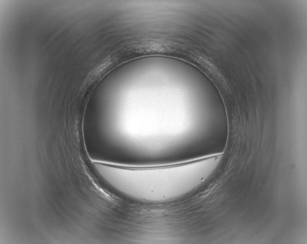 X0000061100489200511180912