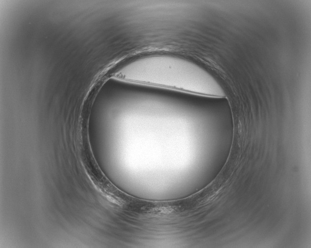 X0000061100492200511180912