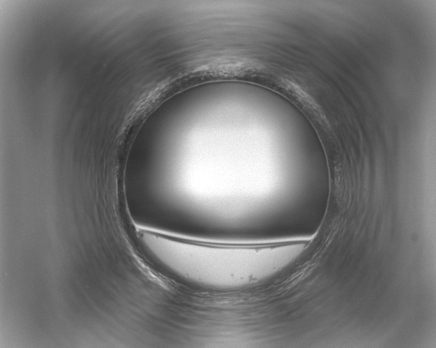 X0000061100493200511180912