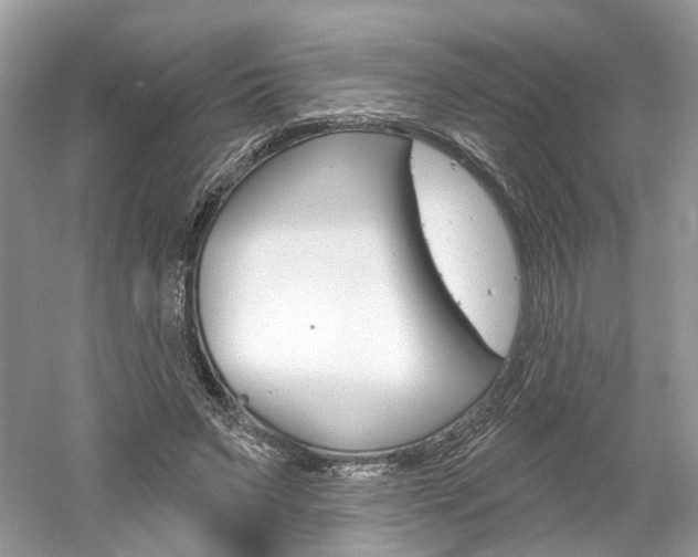 X0000061100495200511180912