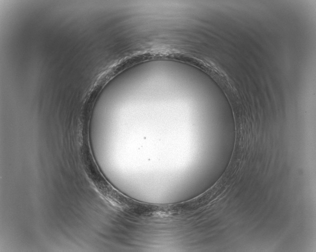 X0000061100496200511180912