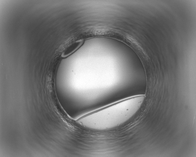 X0000061100497200511180912