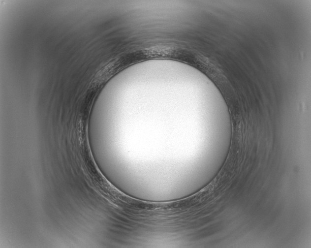 X0000061100498200511180912