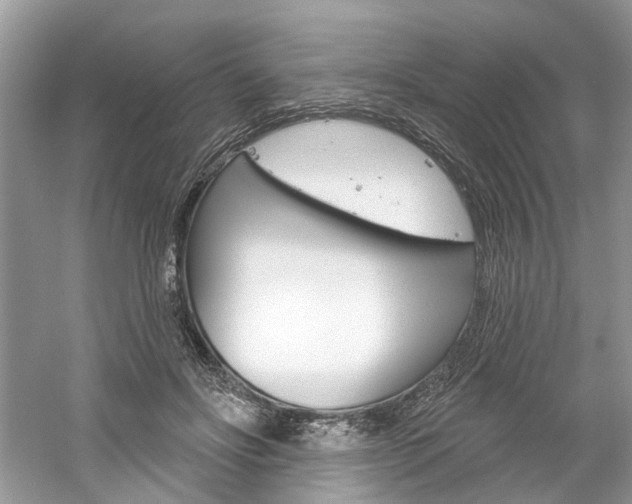 X0000061100502200511180911