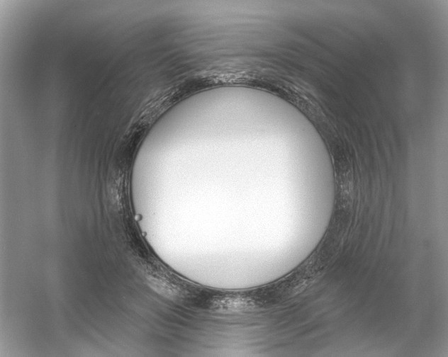 X0000061100503200511180911