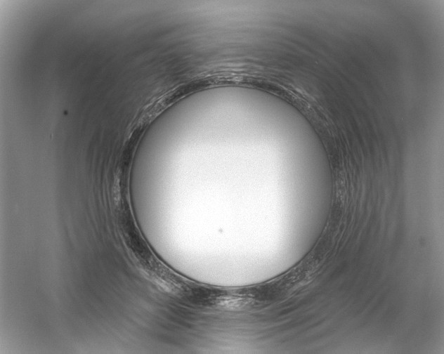 X0000061100504200511180911