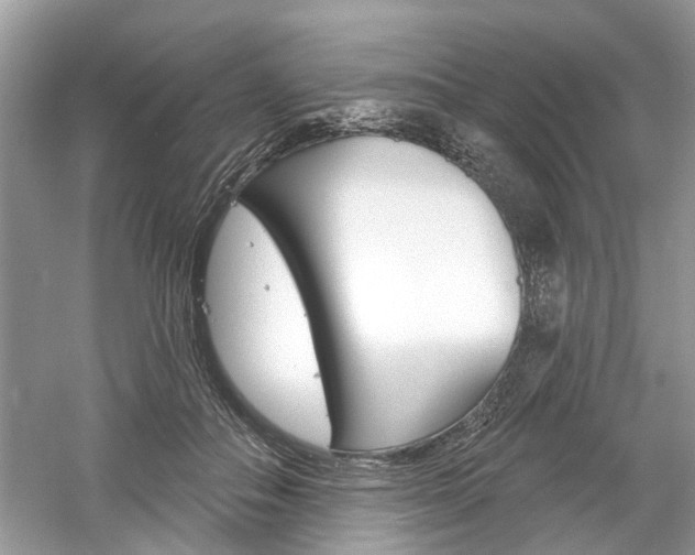 X0000061100506200511180911