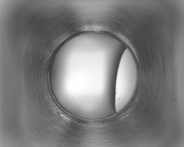 X0000061100529200511180910