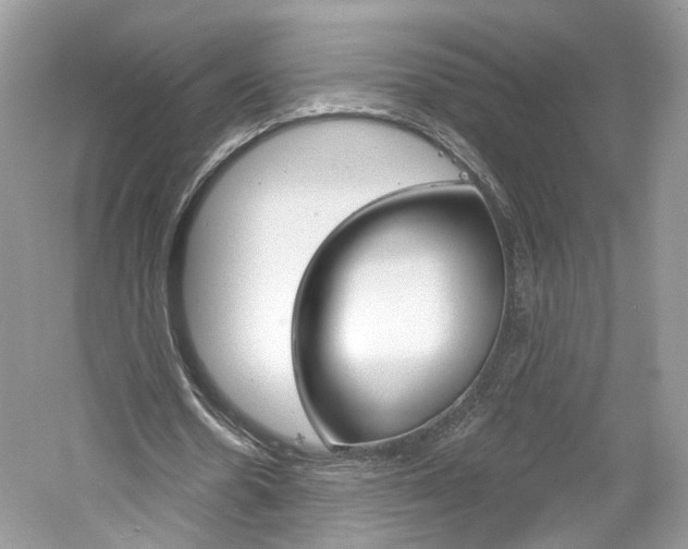 X0000061100530200511180910