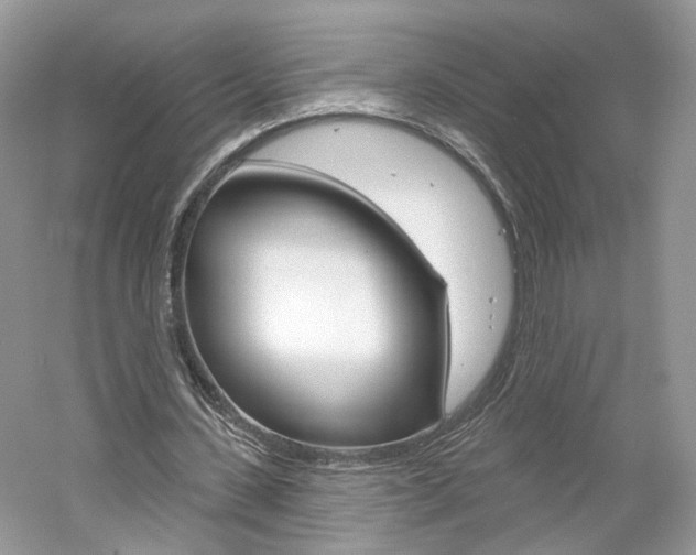 X0000061100531200511180910