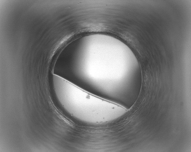 X0000061100535200511180910