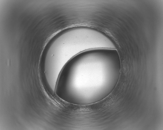 X0000061100536200511180910
