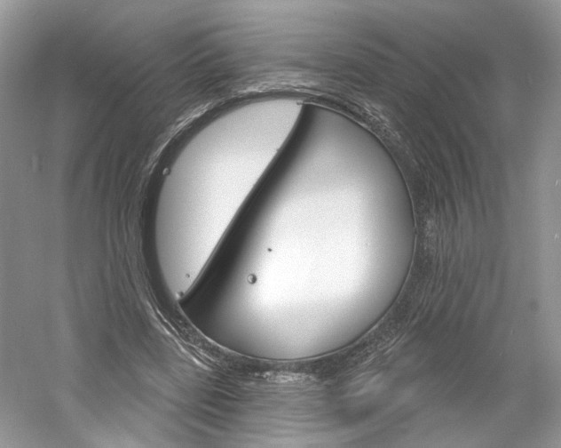 X0000061100539200511180910