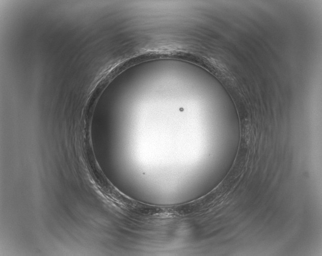 X0000061100544200511180910