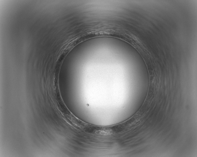 X0000061100548200511180911