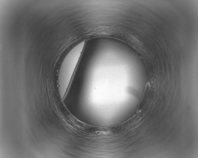X0000061100552200511180911