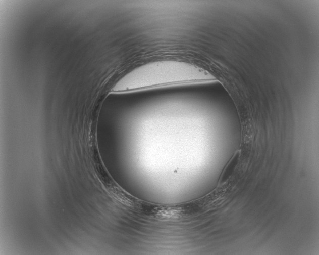 X0000061100560200511180911